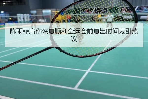 陈雨菲肩伤恢复顺利全运会前复出时间表引热议