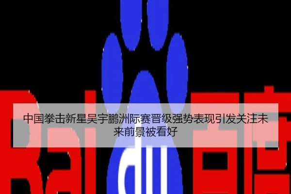 中国拳击新星吴宇鹏洲际赛晋级强势表现引发关注未来前景被看好