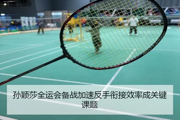 孙颖莎全运会备战加速反手衔接效率成关键课题