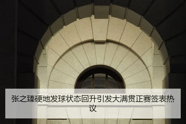 张之臻硬地发球状态回升引发大满贯正赛签表热议